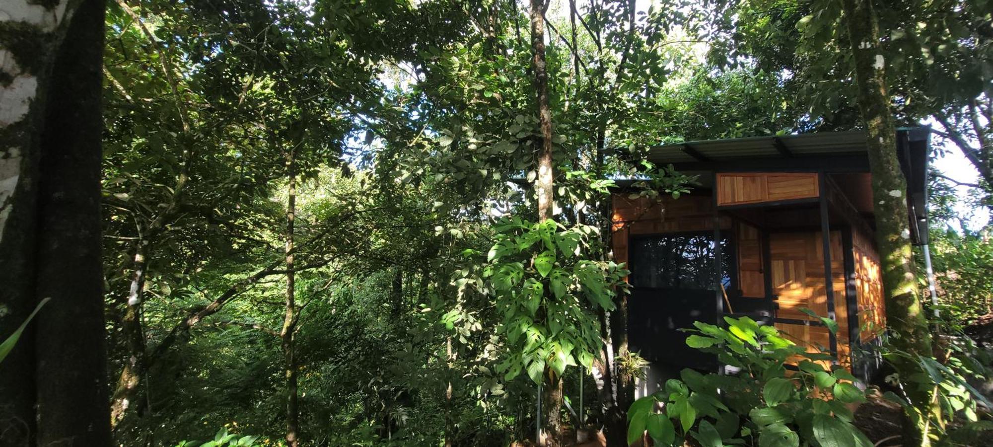 Cabana Colibri #2 Quesada  Dış mekan fotoğraf